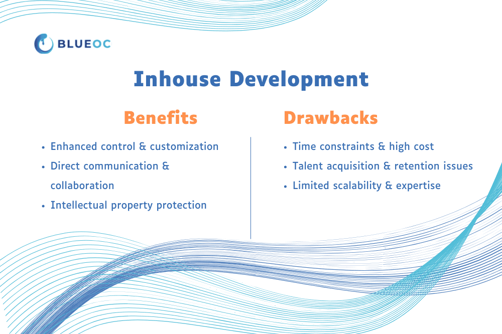 In-House Software Development, Benefits and Drawbacks.png